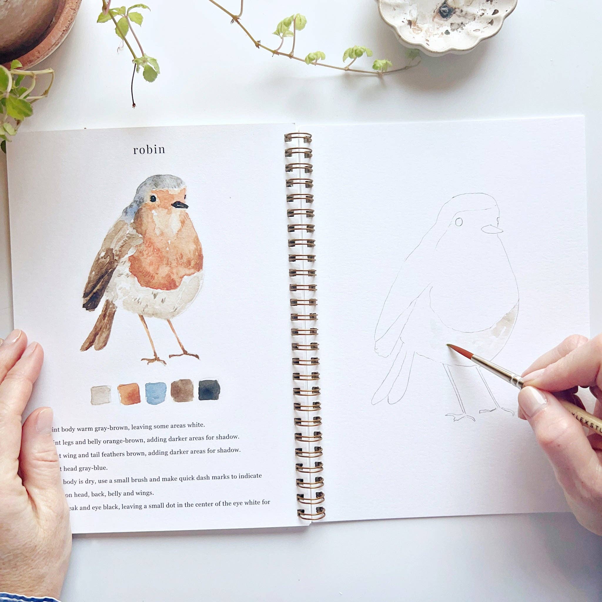 Birds Watercolor Book