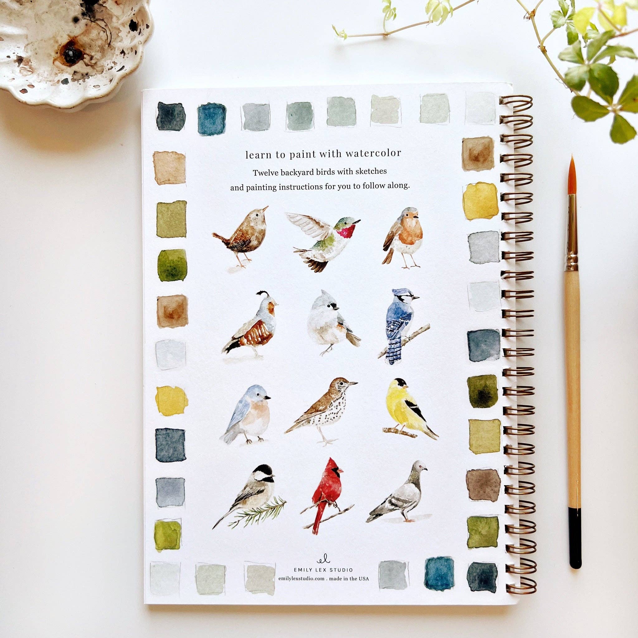 Birds Watercolor Book