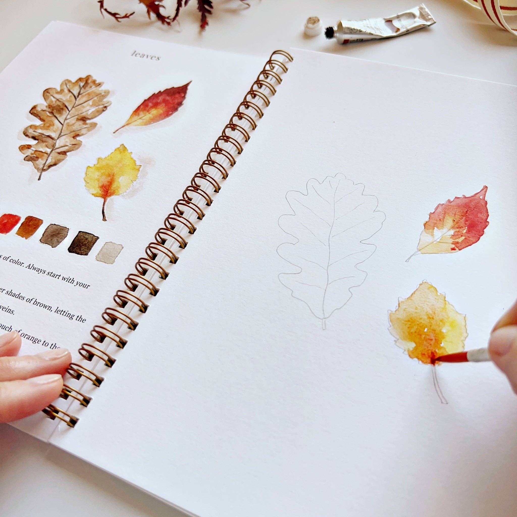 Autumn Watercolor