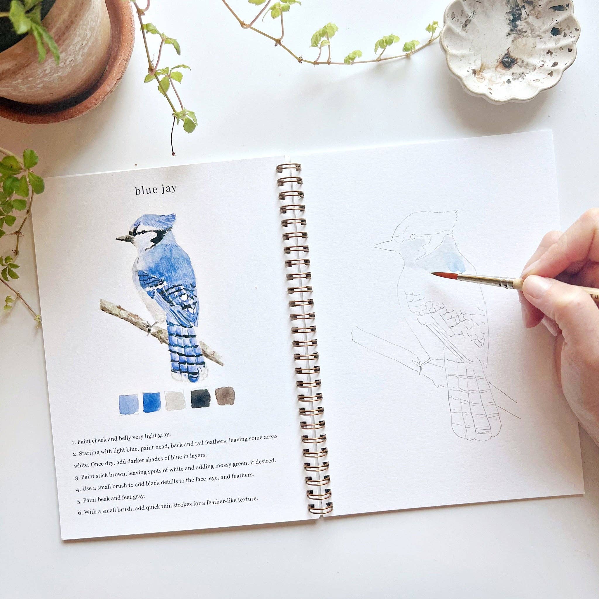 Birds Watercolor Book