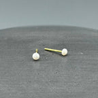 Freshwater Pearl Studs