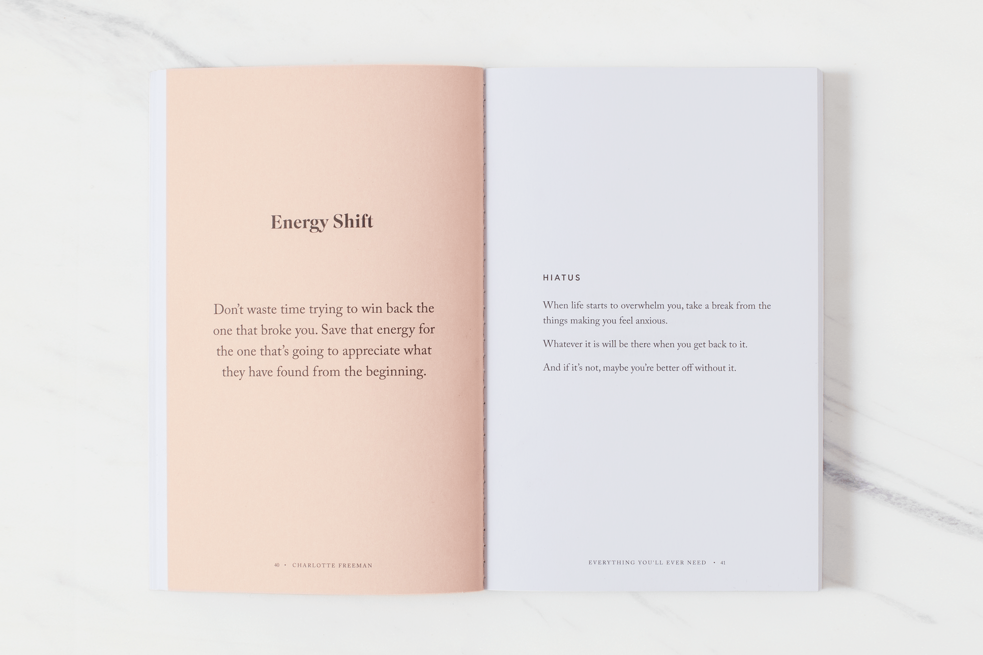 Everything You'll Ever Need Book