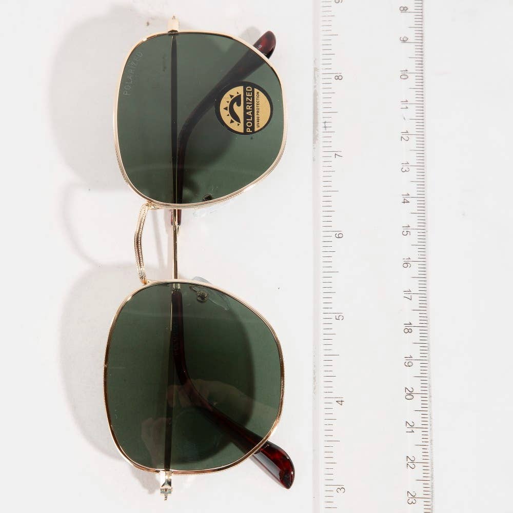 The Rounds Sunglasses