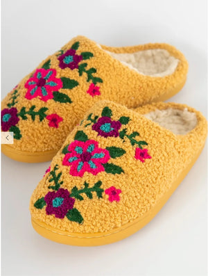 NL Slippers