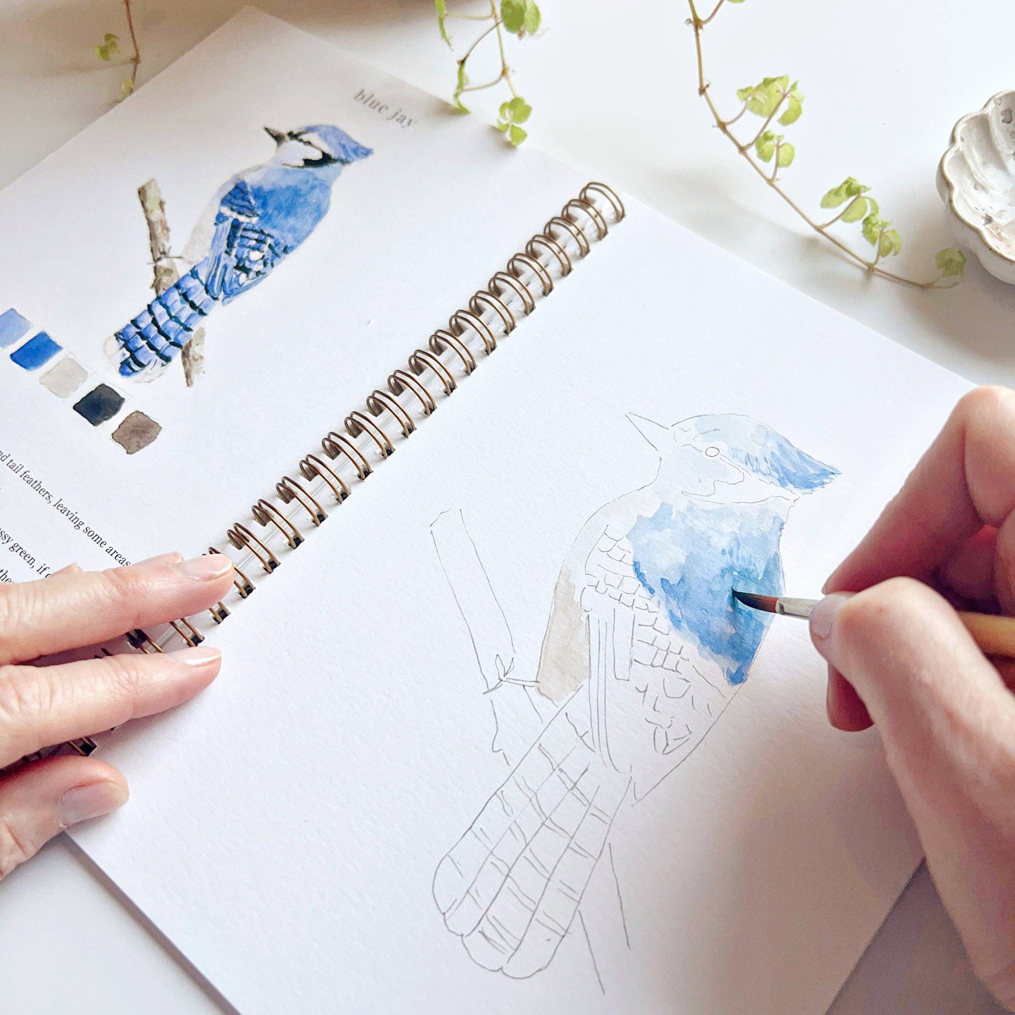 Birds Watercolor Book