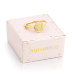 Zodiac Rings