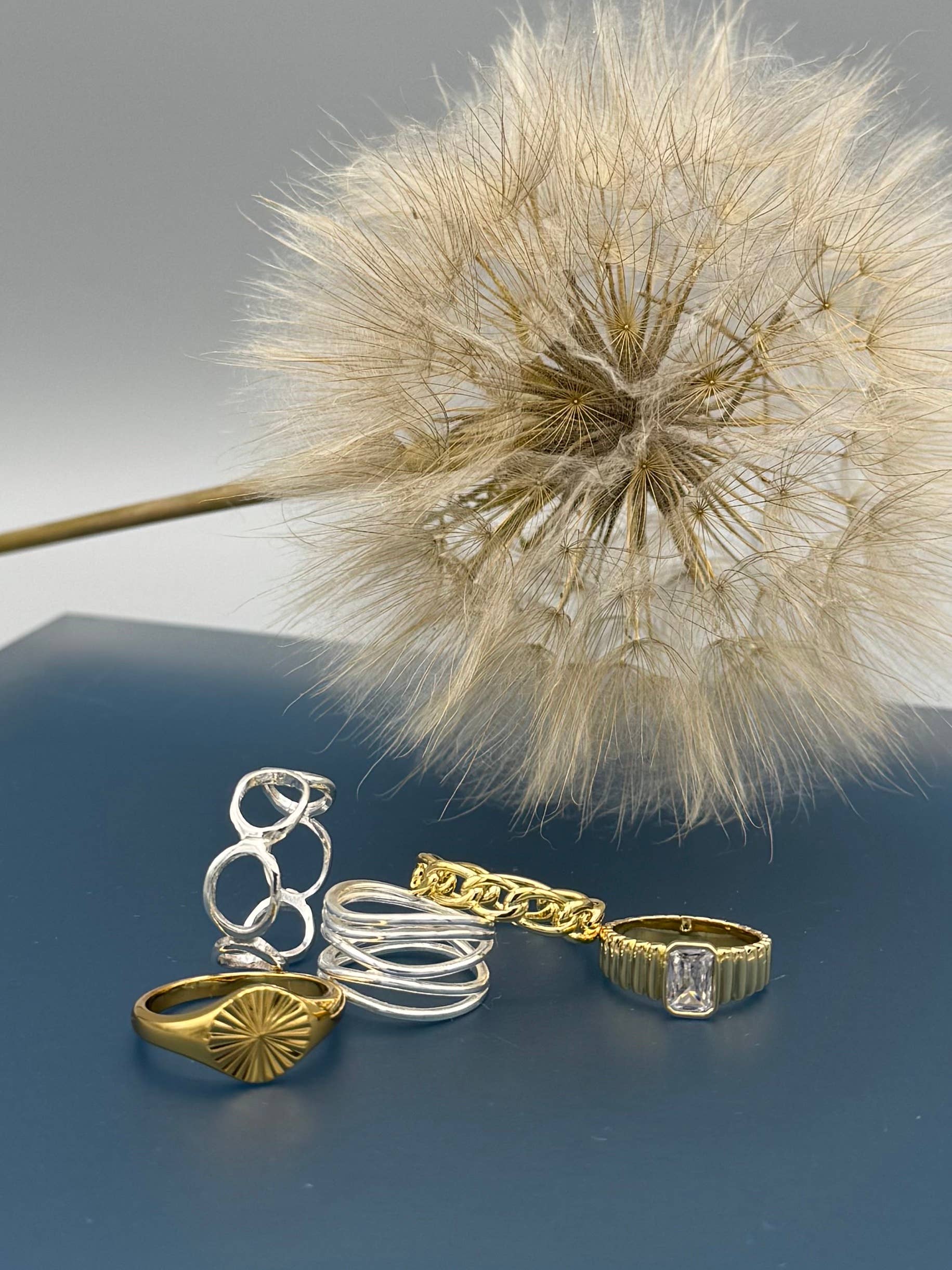 The Circles Ring
