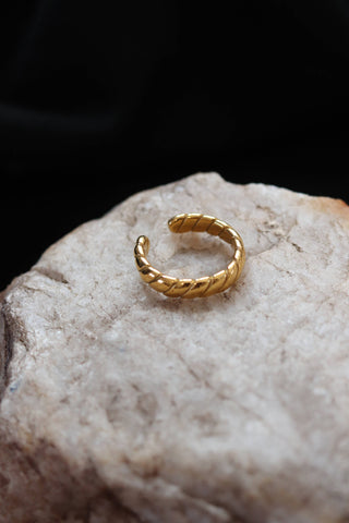 Twisted Ring