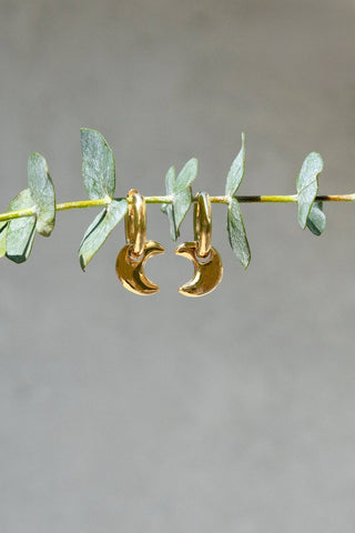 Luna Hoops - Simply Sunflowers