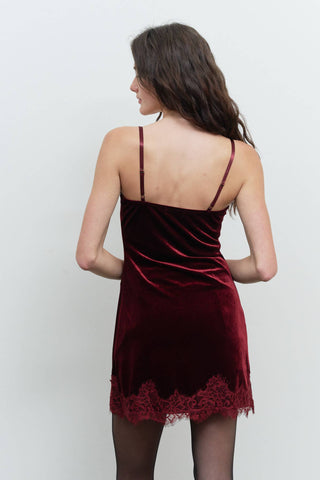 Red Wine Velvet Dress - Simply Sunflowers