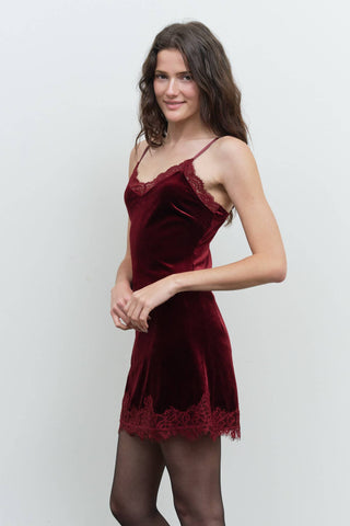 Red Wine Velvet Dress - Simply Sunflowers