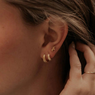 Rory Hoops - Simply Sunflowers