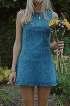 Apple Picking Denim Dress