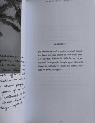 Somewhere In Between Book - Simply Sunflowers