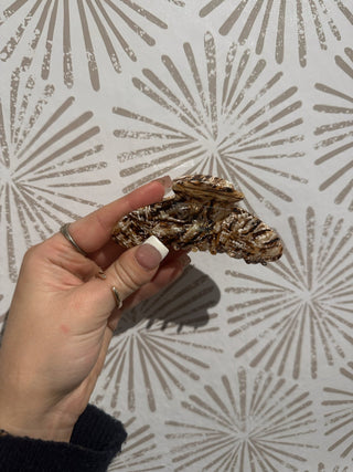 The Oil Painting Claw Clip - Simply Sunflowers