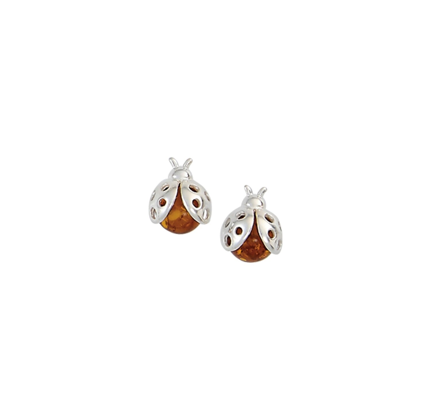 Amber Earring Collection